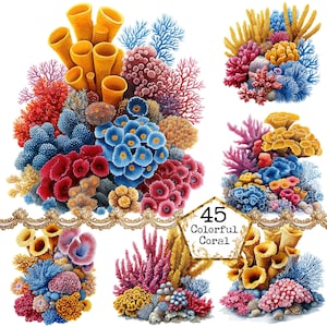 Könnte beinhalten: Eine Sammlung von 45 bunten Korallenillustrationen. Die Korallen sind in verschiedenen Formen und Größen, mit einer Vielzahl von Farben, darunter Rot, Rosa, Orange, Gelb, Blau und Grün.