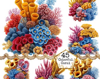 Paquete de imágenes prediseñadas de corales en acuarela (PNG + JPEG). Imágenes prediseñadas de la vida marina. Arte de verano. Descarga instantánea. Manualidades en papel. Diario basura. Scrapbooking.