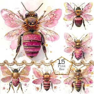 JPEG acuarela Fantasía Rosa Miel Abeja Clipart Paquete JPEG Naturaleza Clipart Insecto Descarga Instantánea Papel Artesanía Junk Journal Scrapbooking