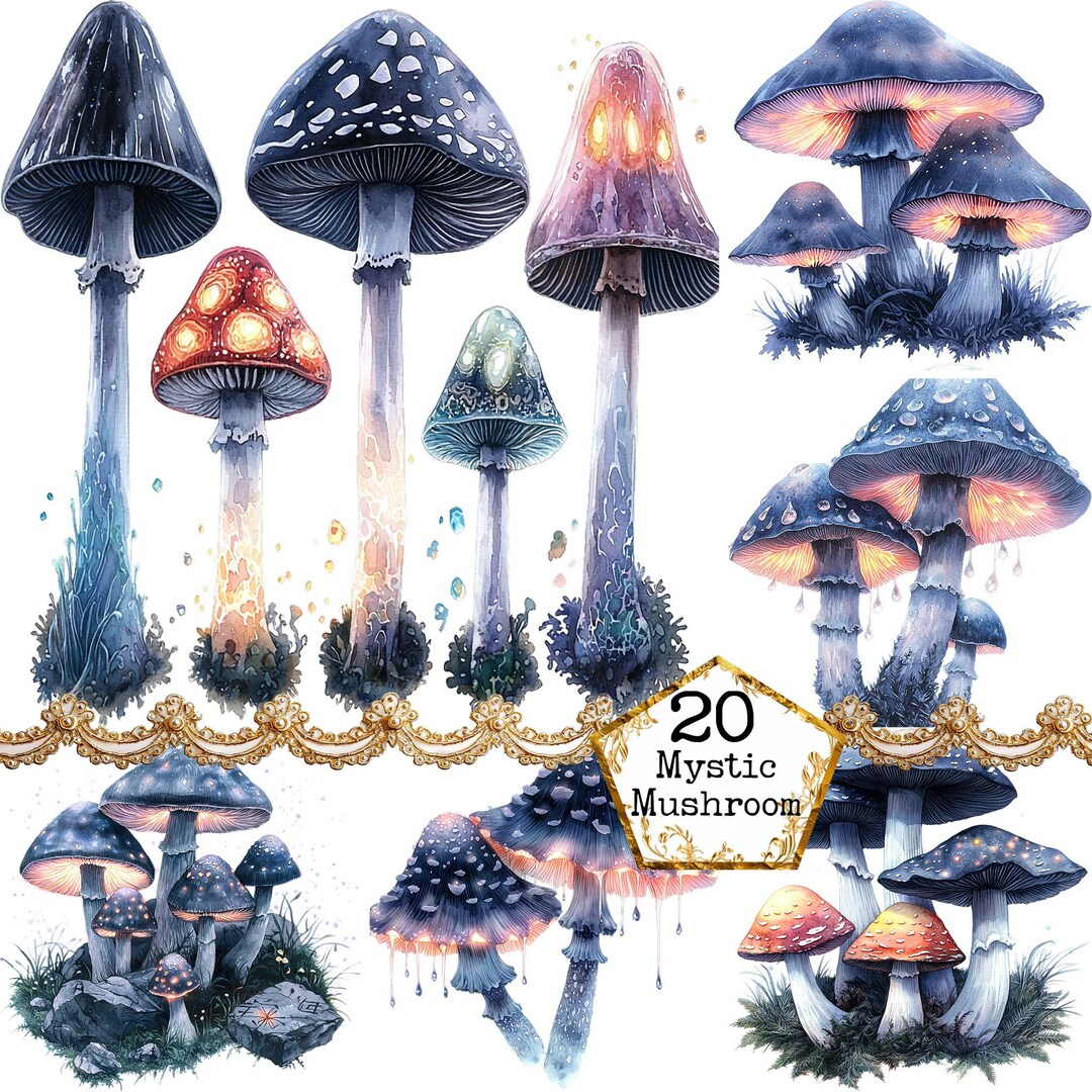 PNG Magical Glowing Mushroom Clipart Bundle Mystical Mushrooms Magical ...