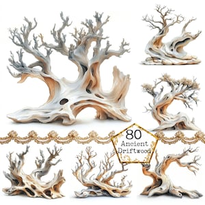 May include: A collection of eight intricately detailed pieces of driftwood, each with a unique shape and texture. The driftwood is a light brown colour and has a weathered, aged appearance. The image includes the text "80 Ancient Driftwood".