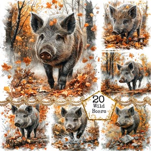JPEG Wildschwein im Wald Clipart Bundle Wildschwein Waldtier Grafiken Clipart Sofortiger Download Papier Handwerk Junk Journal Scrapbooking