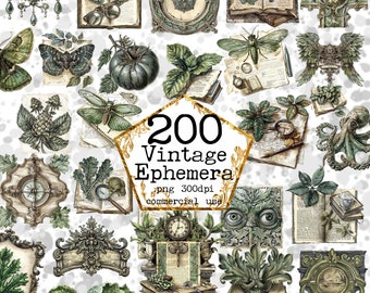 PNG BIG Vintage ephemera Clipart bundel monochromatisch Clipart lithografie Clipart Instant Download papier ambachten ongewenste dagboek Scrapbooking