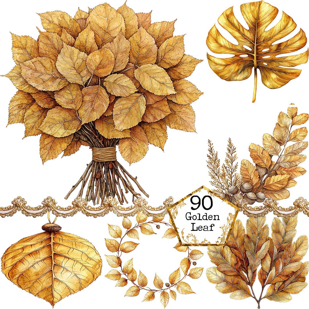 PNG Autumn Leaf Clipart Bundle Leaf Frames Leaf Wreath Leaf Bouquet ...