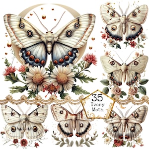 PNG + JPEG Aquarell Elfenbein Motte Clipart Bundle Frühling Clipart mystische Motten Art Instant Download Papier Handwerk Junk Journal Scrapbooking