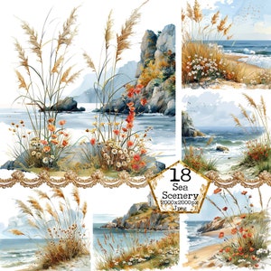 Aquarel strandgras en wilde bloemen JPEG Instant Download wilde strandlandschap clipart rotsen oceaan papier ambachten ongewenste dagboek scrapbooking