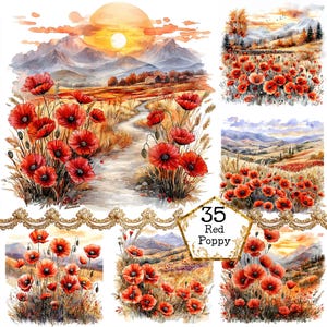 Pacote de clipart de papoulas em aquarela JPEG Campos do pôr do sol com papoulas Clipart de primavera Download instantâneo Artesanato em papel Diário de sucata Scrapbooking