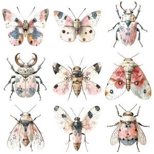 a bunch of different kinds of bugs on a white background
