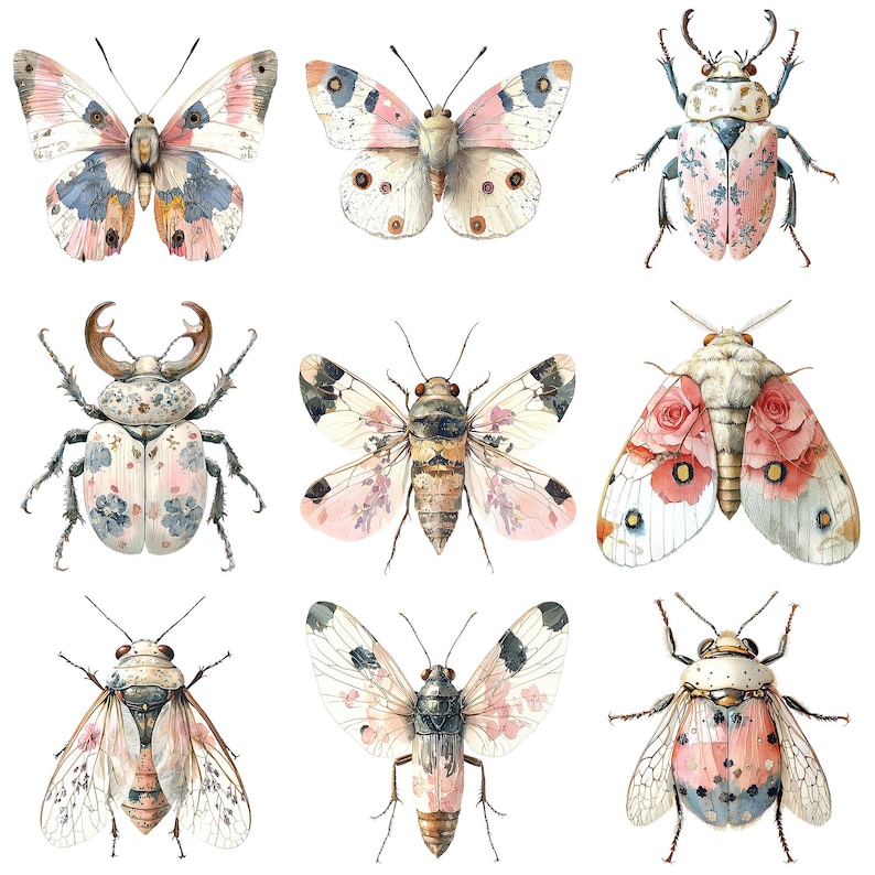 a bunch of different kinds of bugs on a white background