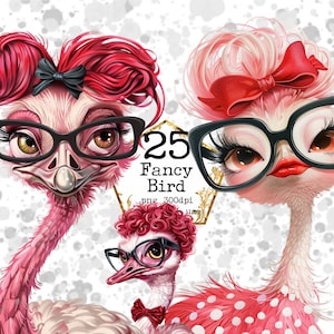 Imágenes prediseñadas de pájaros caprichosos, pájaros divertidos, imágenes prediseñadas digitales, imágenes prediseñadas de acuarela imprimibles, descarga instantánea, manualidades de papel, diario basura, scrapbooking