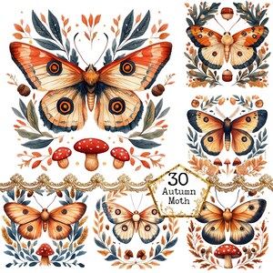 PNG + JPEG Aquarell Herbst Motte Clipart Bundle Frühling Clipart mystische Motten Art Instant Download Papier Handwerk Junk Journal Scrapbooking