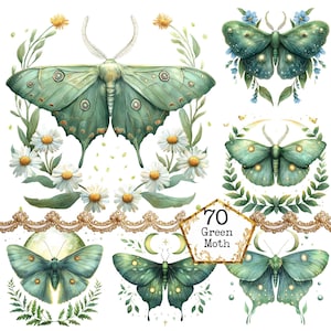 PNG + JPEG Aquarell grüne Motte Clipart Bundle Frühling Clipart mystische Motten Art Instant Download Papier Handwerk Junk Journal Scrapbooking