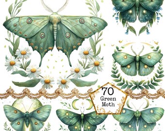 PNG + JPEG  Watercolor Green Moth Clipart Bundle Spring Clipart Mystical Moths Art  Instant Download Paper Crafts Junk Journal Scrapbooking