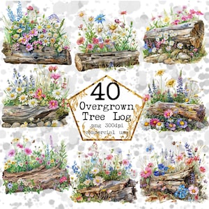Aquarel overwoekerd log clipart bundel bos clipart magisch bos wilde bloemen Instant Download papier ambachten junk Journal scrapbooking