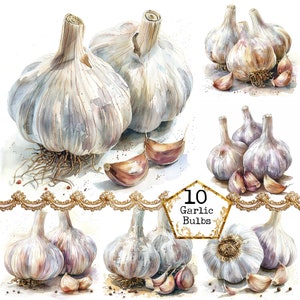 JPEG Aquarela Alho Clipart Pacote JPEG Cozinhar Clipart Cozinha Clipart Comida Download instantâneo Papel Artesanato Junk Journal Scrapbooking