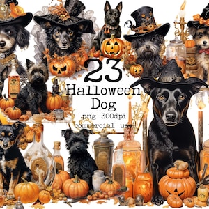 PNG Halloween Hunde Clipart Bundle Digitaler Download PNG Kürbisse und Hunde PNG PNG Junk Journal Schrott Buchung Kommerzielle Nutzung