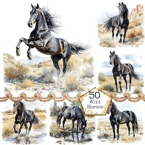 Ensemble de cliparts magnifique cheval noir JPEG cheval sauvage Clipart paysage printanier cheval Téléchargement instantané Artisanat en papier Journal indésirable Scrapbooking