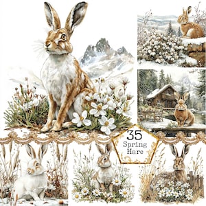 JPEG Acquerello Lepre Clipart Bundle Caccia Clipart Animale selvatico Fauna selvatica Arte Coniglio Download immediato Carta artigianale Diario spazzatura Scrapbooking