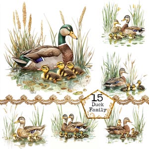 JPEG pato patito acuarela madre pato y patitos clipart pared arte pájaro clipart descarga instantánea papel artesanía basura diario scrapbooking