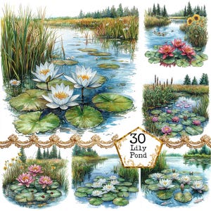 JPEG aquarela lírio lagoa clipart pacote floral lagoa natureza paisagem uso comercial download instantâneo papel artesanato lixo diário scrapbooking