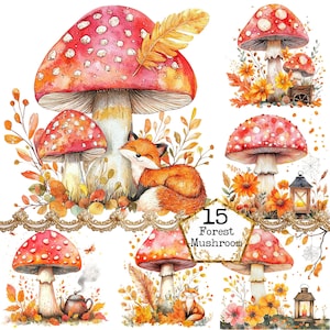 PNG + JPEG Aquarelle forêt champignon Clipart Bundle Champignon magique Woodland Téléchargement instantané Papier Artisanat Junk Journal Scrapbooking