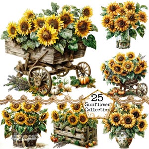 Ensemble de cliparts tournesols aquarelles vintage, panier de tournesols vintage, panier de fleurs, téléchargement immédiat, travaux manuels en papier, journal indésirable, scrapbooking