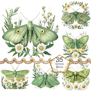 PNG + JPEG Aquarell Blumen Motte Clipart Bundle Frühling Clipart mystische Motten Art Instant Download Papier Handwerk Junk Journal Scrapbooking