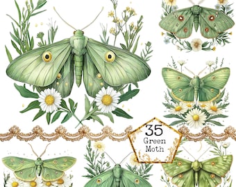 PNG + JPEG  Watercolor Floral Moth Clipart Bundle Spring Clipart Mystical Moths Art  Instant Download Paper Crafts Junk Journal Scrapbooking