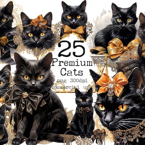 Schwarze Katze Clipart Bundle PNG Halloween Clipart Aquarell PNG format sofortigen Download Junk Journal Scrapbooking Karte machen kommerzielle Nutzung