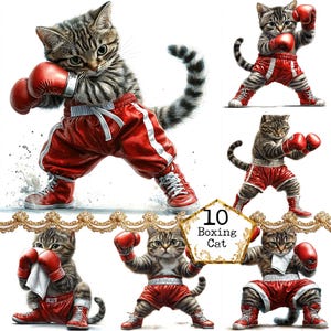 Paquete de imágenes prediseñadas de ilustración de gato boxeador JPEG, imágenes prediseñadas de gato divertido deportivo, uso comercial, descarga instantánea, manualidades de papel, diario basura, álbumes de recortes