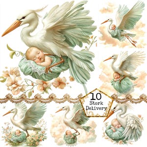 JPEG Acquerello Cicogna bambino Clipart Bundle Asilo nido Clipart Baby Shower Card Making Download immediato Artigianato di carta Diario spazzatura Scrapbooking