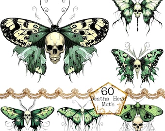 PNG + JPEG Watercolor Deaths Head Moth Clipart Bundle Spring Clipart Mystical Moths Instant Download Paper Crafts Junk Journal Scrapbooking