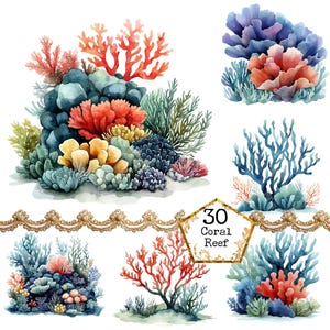 PNG + JPEG Watercolor Coral Reef Clipart Bundle See life Clipart Ocean Summer Art Instant Download Paper Craft Junk Journal Scrapbooking