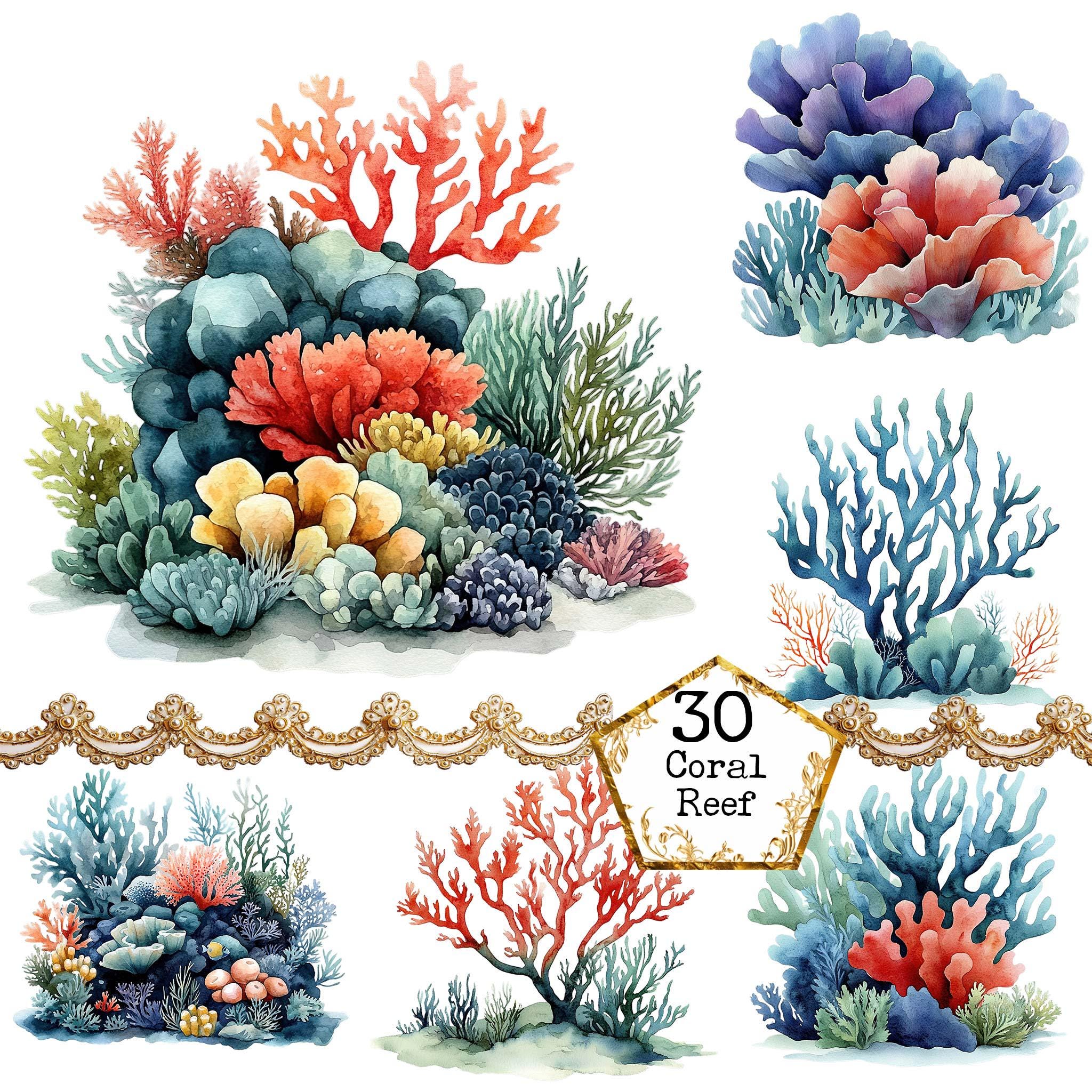 PNG + JPEG Watercolor Coral Reef Clipart Bundle See life Clipart Ocean Summer Art Instant Download Paper Craft Junk Journal Scrapbooking