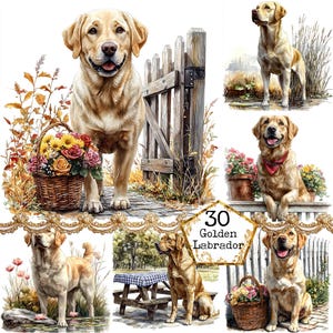 JPEG Bundle de cliparts mignon Labrador doré chien Clipart Clipart pour animaux de compagnie usage Commercial Téléchargement instantané artisanat en papier Junk Journal Scrapbooking