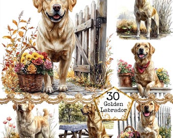 JPEG Cute Golden Labrador Clipart Bundle Dog Clipart Pet Clipart Komercyjne użycie Natychmiastowe pobieranie Papierowe rzemiosło Junk Journal Scrapbooking