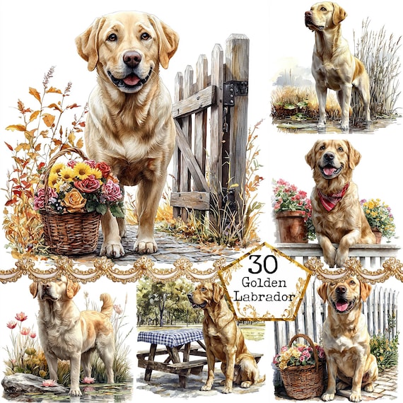 JPEG Cute Golden Labrador Clipart Bundle Dog Clipart Pet Clipart Commercial Use Instant Download Paper Crafts Junk Journal Scrapbooking