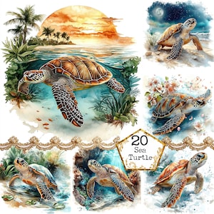 Bundle de cliparts aquarelle tortue d'eau JPEG océan animaux Clipart usage commercial Téléchargement instantané papier artisanat indésirable Journal Scrapbooking