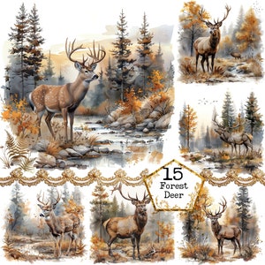 Pacchetto clipart cervi e foresta di montagna JPEG uso commerciale sfondi stampabili Download immediato artigianato di carta Junk Journal Scrapbooking