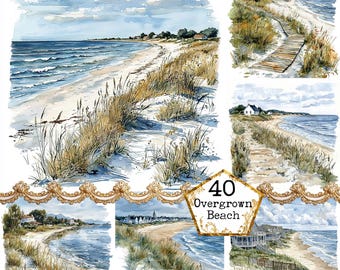 Watercolor Beach Grass Clipart Bundle Overgrown Beach JPEG Wild Beach Scenery Clipart Rocks Ocean Paper Crafts Junk Journal Scrapbooking