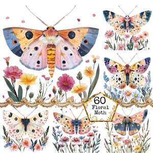 PNG + JPEG Aquarell Herbst Motte Clipart Bundle Frühling Clipart mystische Motten Art Instant Download Papier Handwerk Junk Journal Scrapbooking