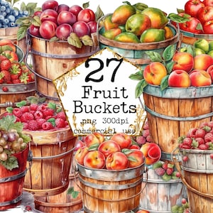 Secchi di frutta Clipart PNG Cestini fruttati Download di immagini digitali per la creazione di cartoline, album di ritagli, diario spazzatura, artigianato con la carta, uso commerciale,
