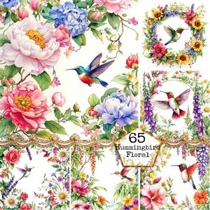JPEG Watercolor Floral Humming Bird Clipart Bundle Spring Bird Graphics Clipart Instant Download Paper Crafts Junk Journal Scrapbooking