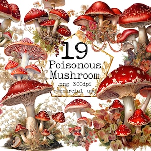 PNG rode aquarel paddestoel clipart bundel PNG giftige paddestoel aquarel bos kunst fantasie clipart, paddestoelen bundel png, magische clipart