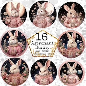 Kaninchen Astronaut Sublimation Design Bundle Pink Rabbit Fantasy Rabbit PNG Instant Download Papier Handwerk Junk Journal Scrapbooking