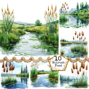 Könnte beinhalten: Ein Aquarellbild eines Teichs mit Schilf und Seerosen. Der Teich ist von grünem Gras und Bäumen umgeben. Das Bild trägt den Titel "10 Bulrush Pond".