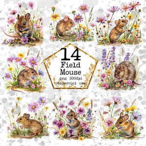 Aquarel Veldmuis Clipart Bundel Schattige Muis PNG Zomer Clipart Dierlijke Clipart Instant Download Papier Ambachten Junk Journal Scrapbooking