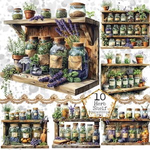 PNG Herbs Shelf Clipart Bundle PNG Watercolor Cooking PNG Commercial Use Instant Download Paper Crafts Junk Journal Scrapbooking