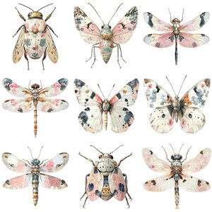 a bunch of different kinds of bugs on a white background