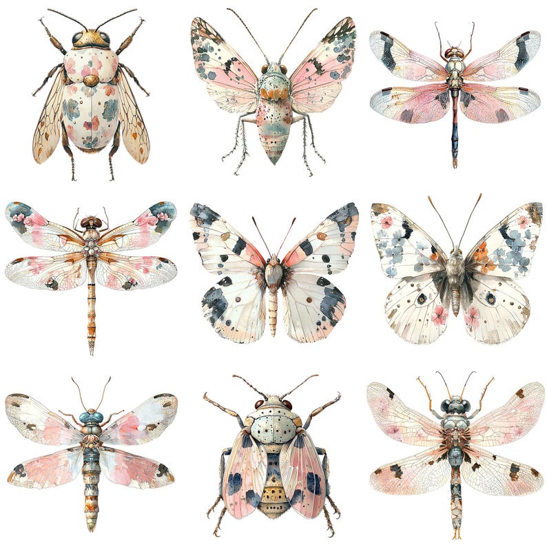 a bunch of different kinds of bugs on a white background